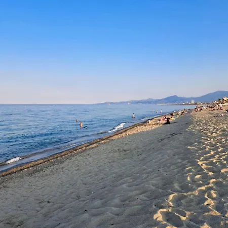 T3 Renove Front De - Clim, Parking Lejlighed Saint-Cyprien (Pyrenees-Orientales)